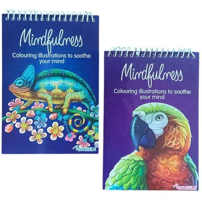 2Pc Spiral Advanced Colouring Book Mindfulness Relaxing Stress Relief Any Age